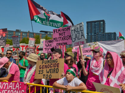 Activists protest the 2024 Democratic National Convention in Chicago, IL, Monday, August 1