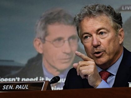 WASHINGTON, DC - SEPTEMBER 14: Sen. Rand Paul (R-KY) questions Dr. Anthony Fauci, director