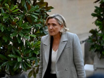 President of French far-right party Rassemblement National parliamentary group Marine Le P