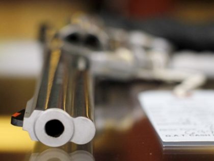 A .357 magnum revolver is seen at a gun shop in Dundee, Ill. H.R. 3299, among other things