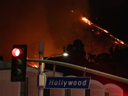 HOLLYWOOD, CA - JANUARY 08: Flames are seen on the hillsides above Hollywood Blvd. during