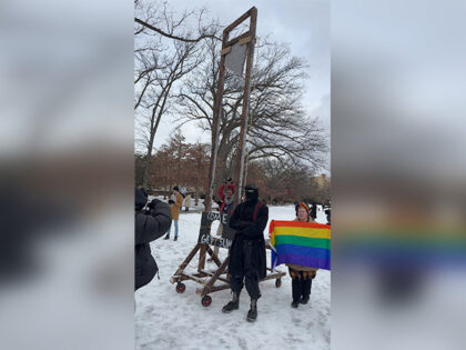 WATCH -- 'Come Get Sum': Anti-Trump Protesters Erect Mock Guillotine on Inauguration Day