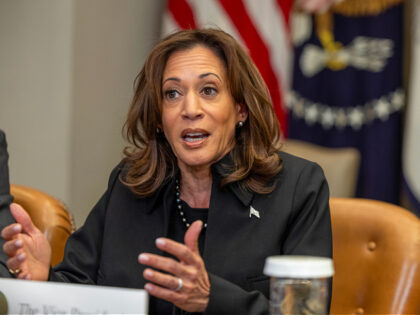 WASHINGTON, DC - JANUARY 09: US Vice President Kamala Harris speaks to the media on the fe