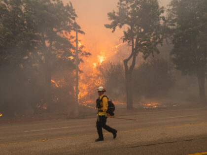 PACIFIC PALISADES, CA - JANUARY 07: A firefighter works at the site of a brush fire pushed