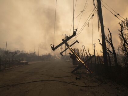 CALIFORNIA, UNITED STATES - JANUARY 8: A burnt down utility line from the Eaton Fire that